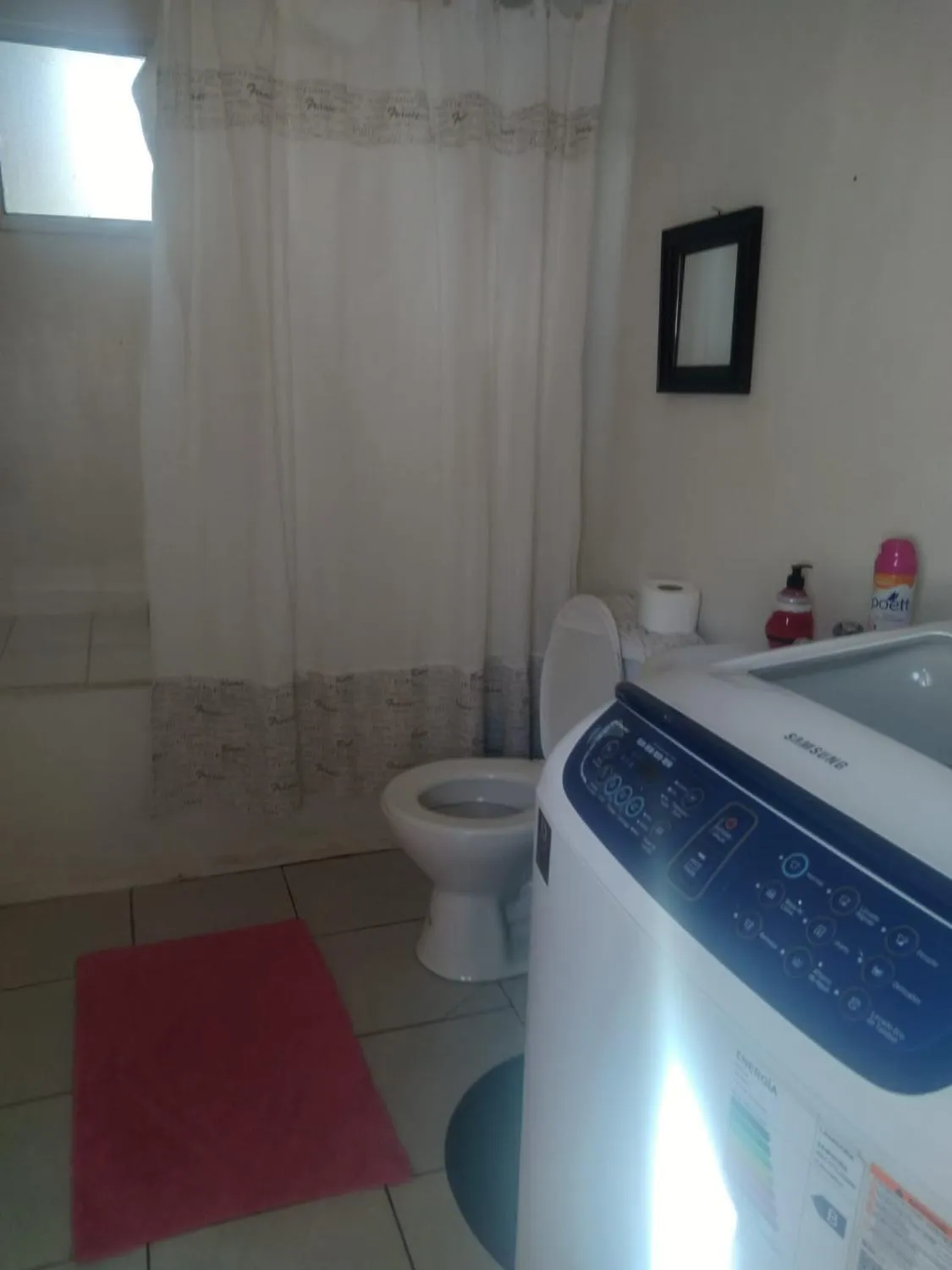 Los canelos - Foto 2