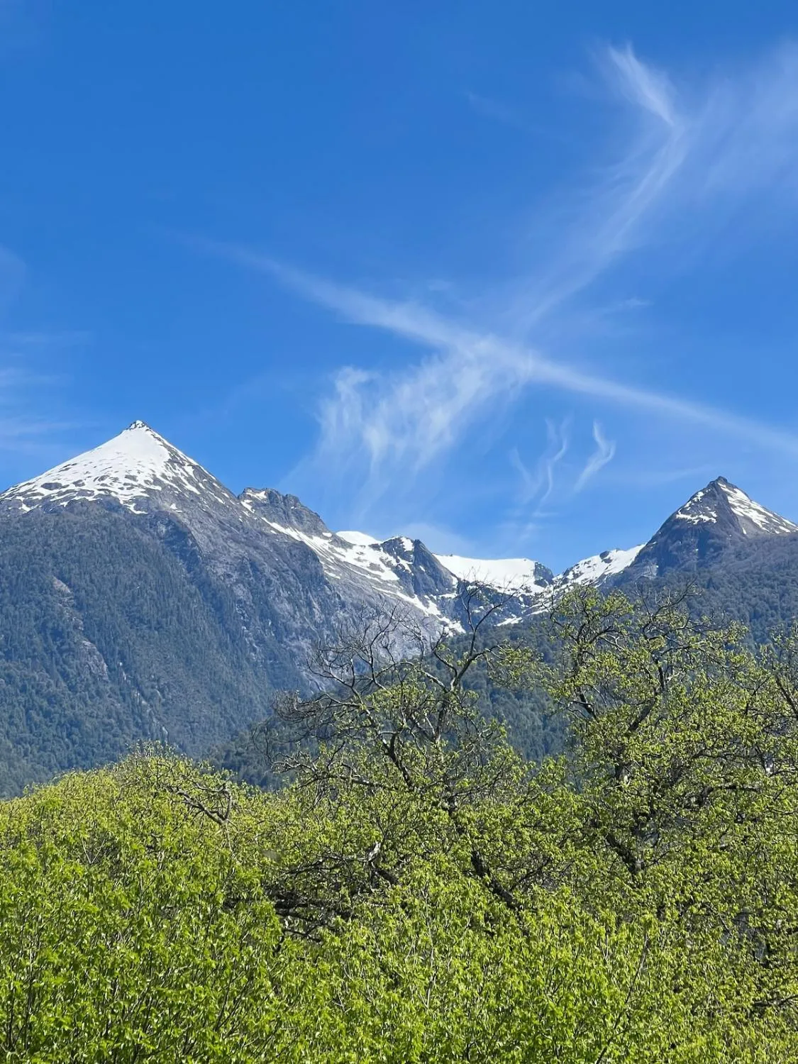Minimalist style house - Cochamó - Foto 4