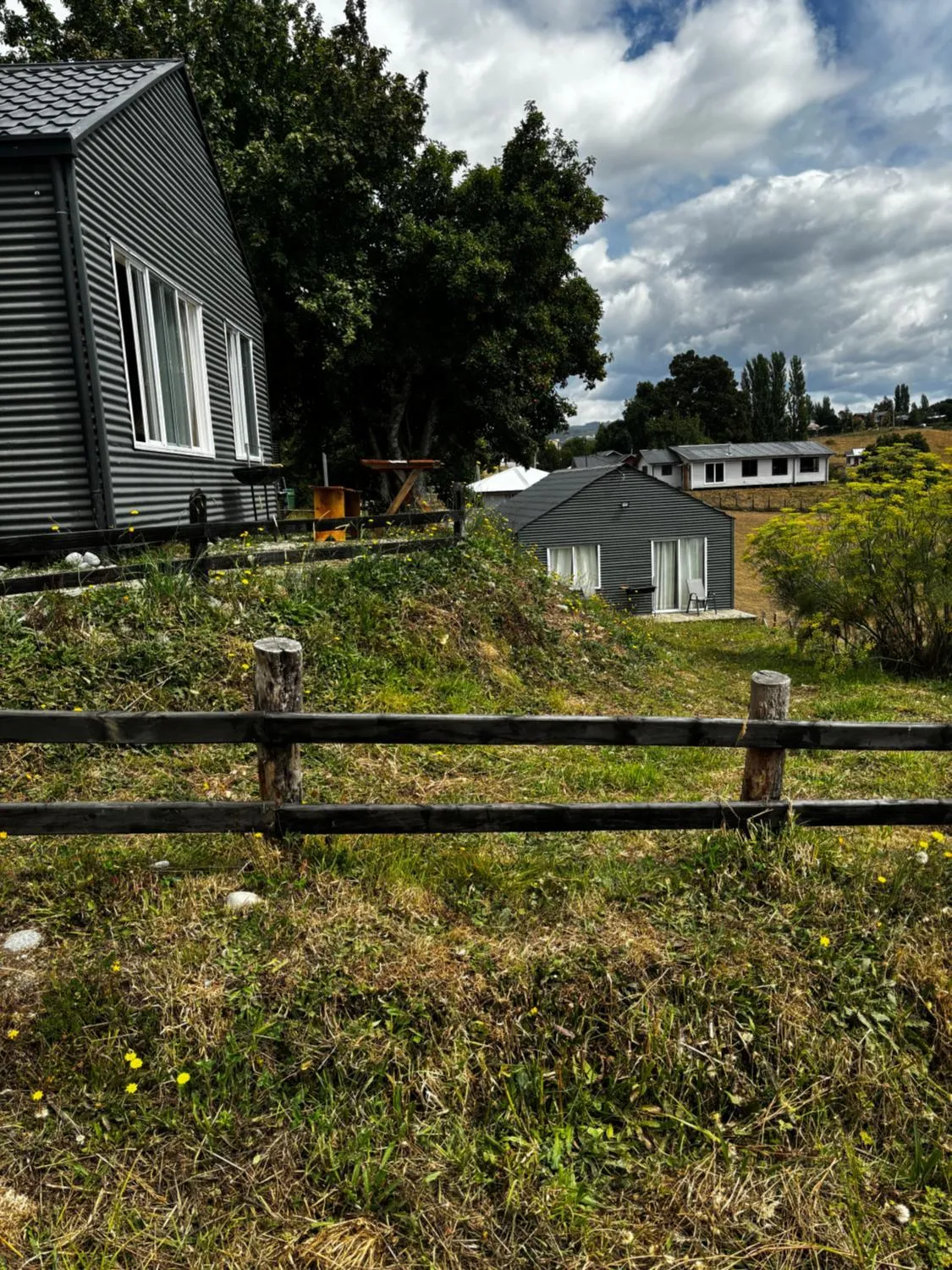 Queltehues natural - Foto 3