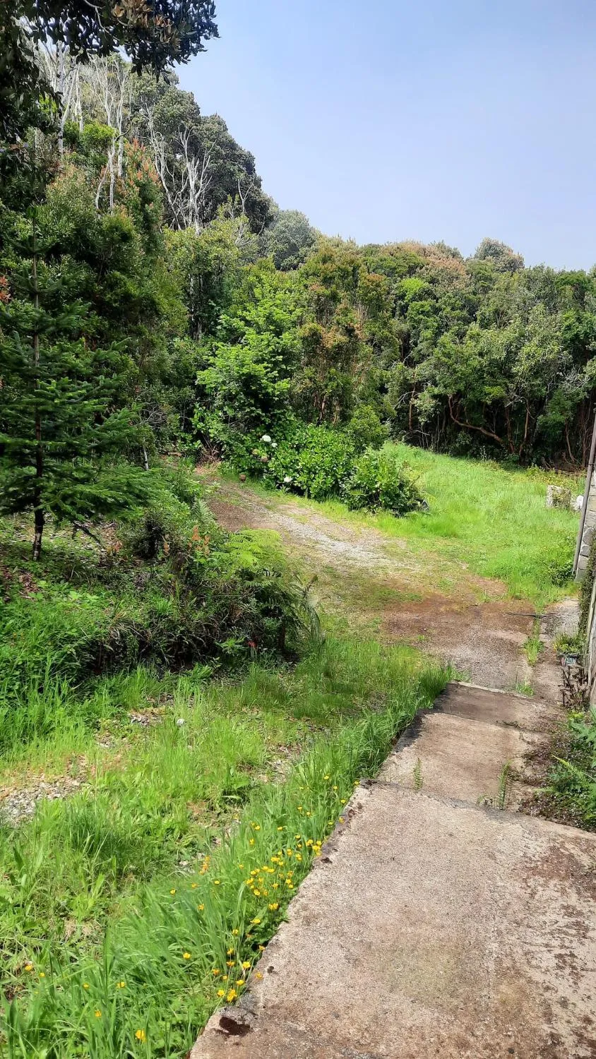 Refugio Kallfuko, a great space with nature - Foto 3