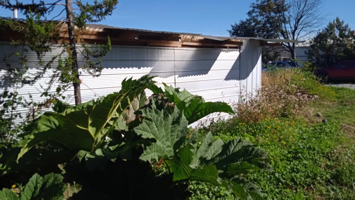 Refugio Patagonia Verde - Foto 4