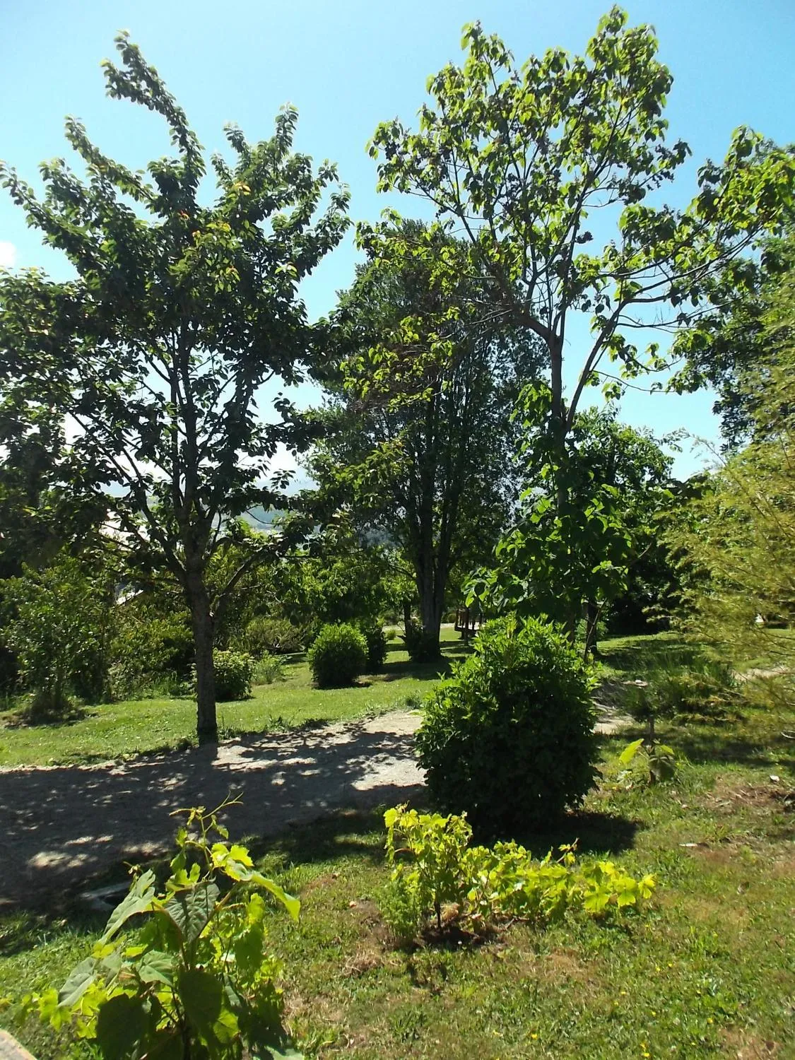 Refugio Ruka Cümelen - Foto 4