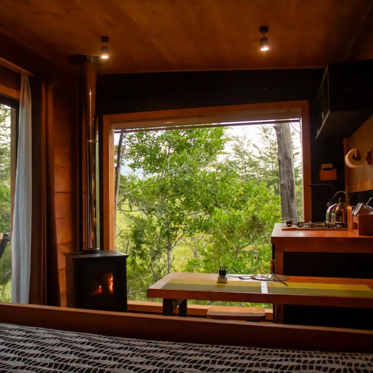 Refugios de bosque en Coñaripe - Foto 2