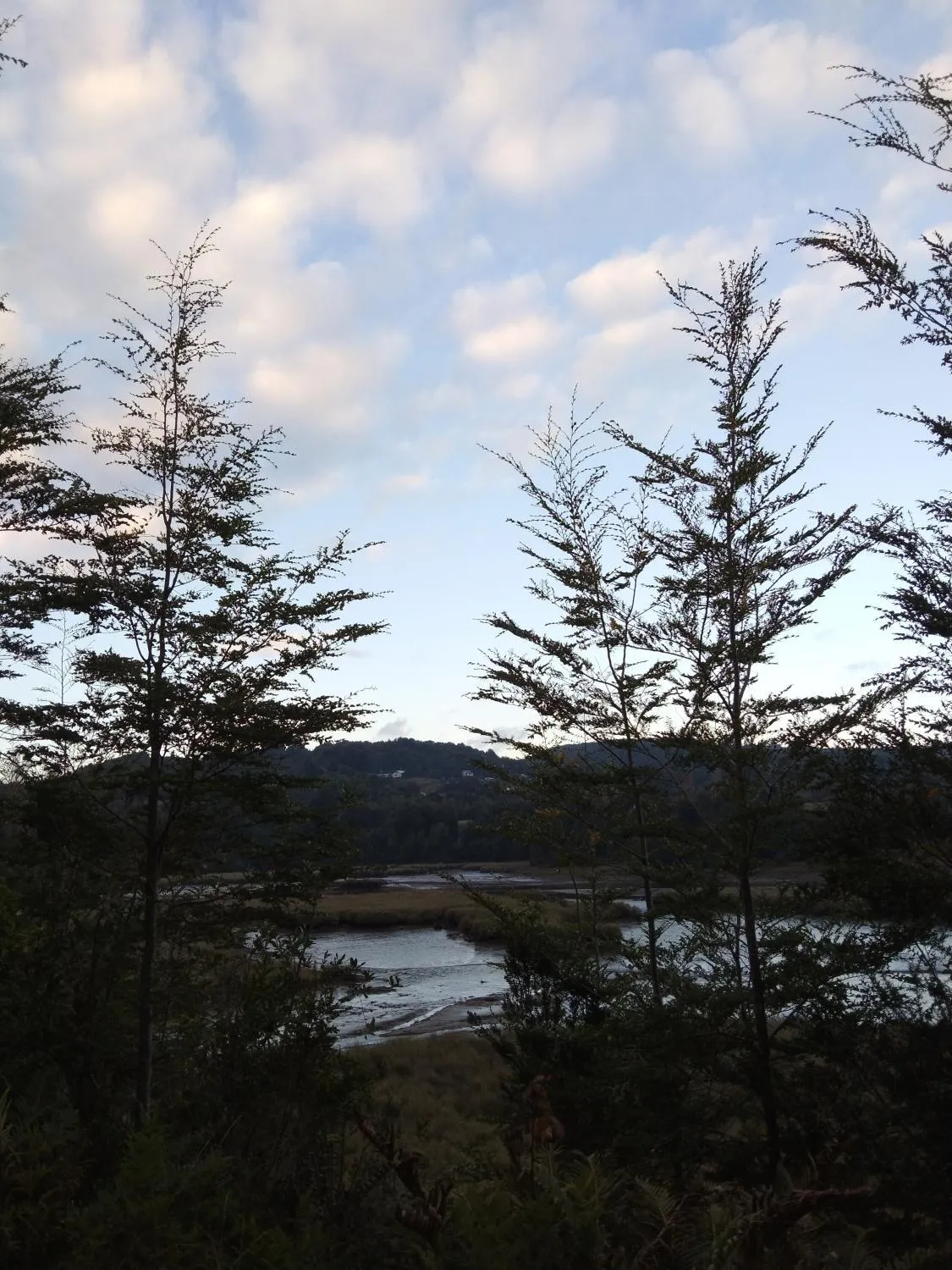 Rincón de las ranitas - Foto 4