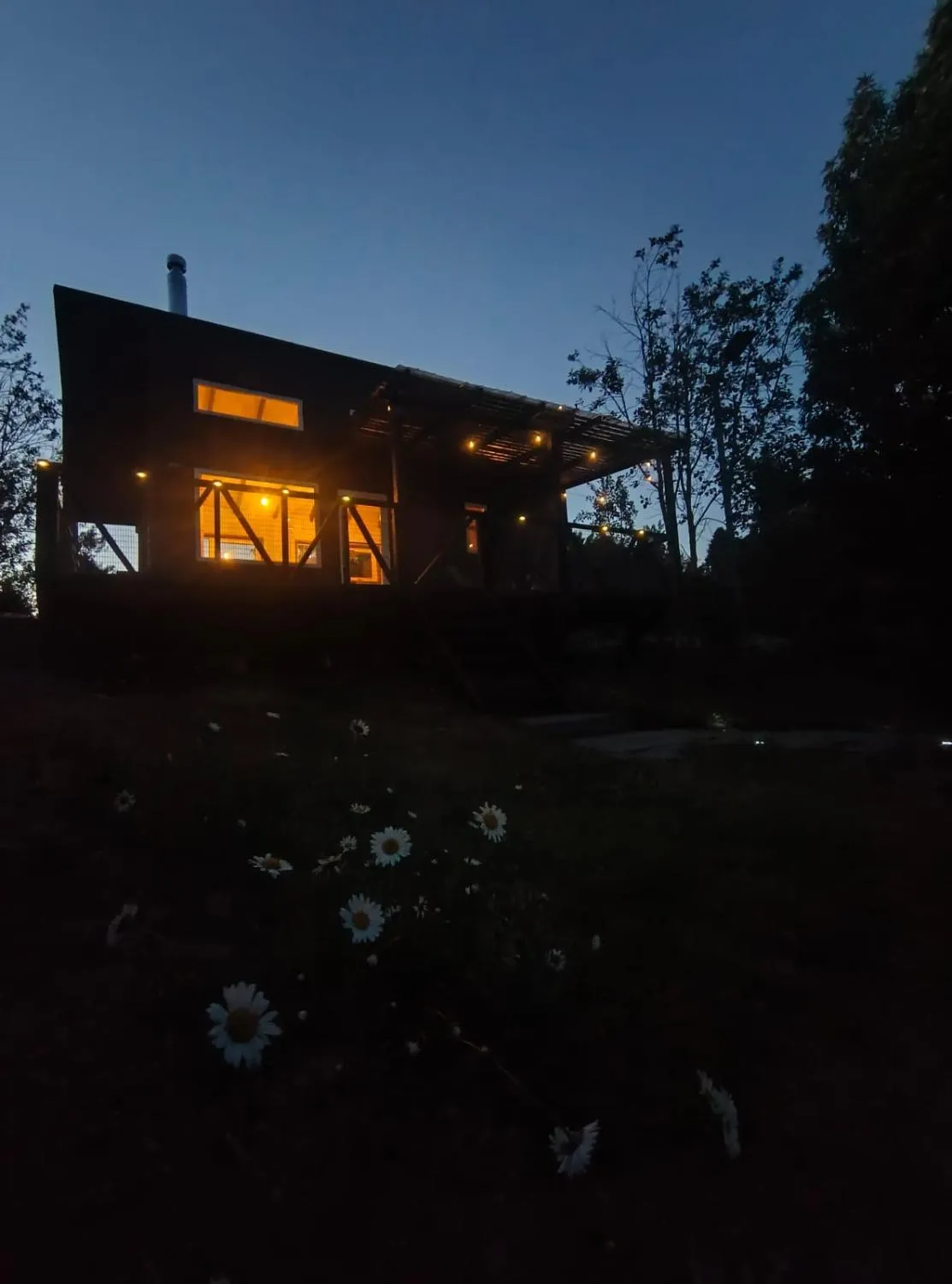 Tiny House rodeada de bosque nativo - Foto 4