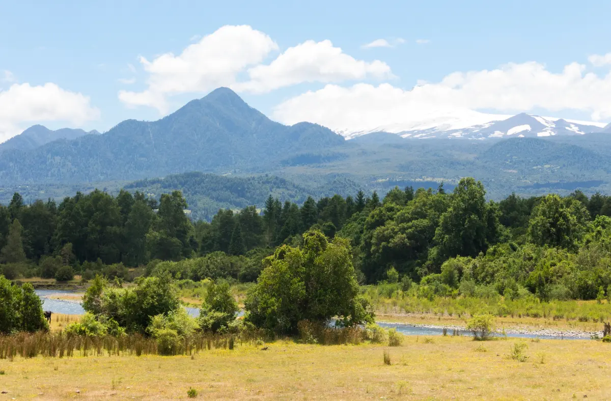 Cabañas en Coñaripe, Los Ríos